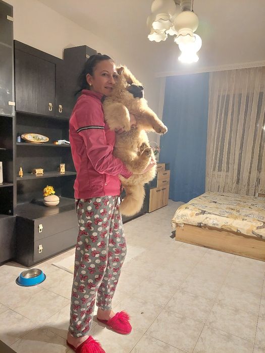 Продавам Чао  Чао