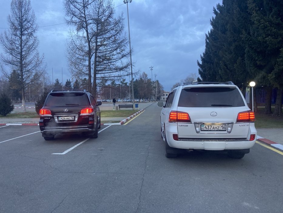 CarRental Премиум-прокат авто с водителем
