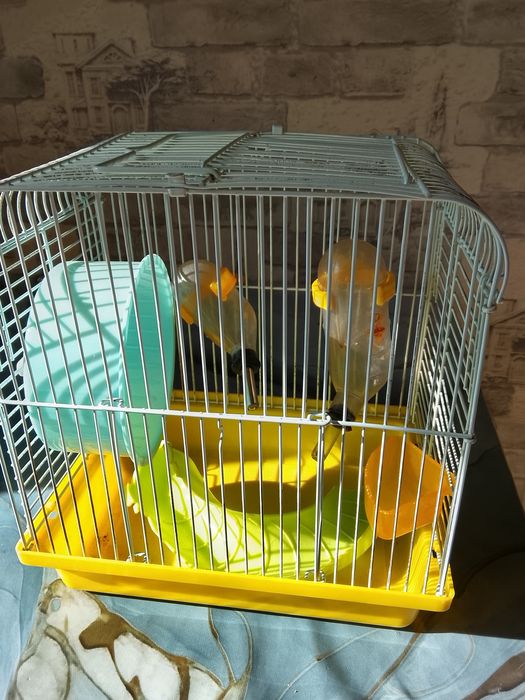 Клетка для хомячка