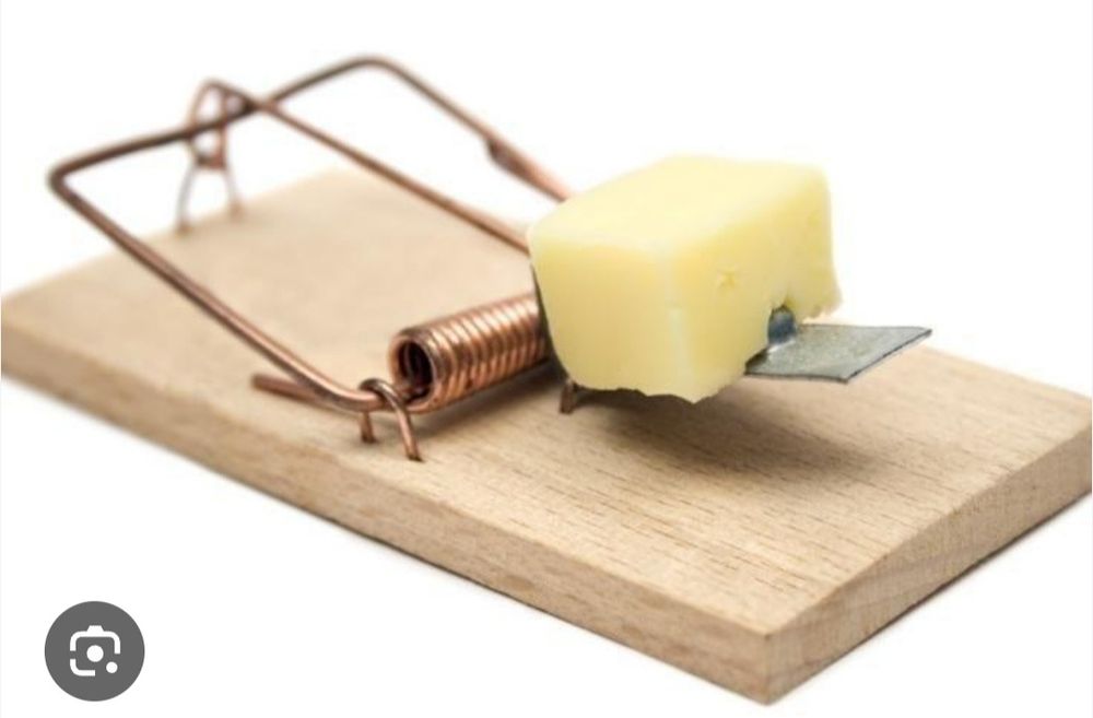 Kalamush qopqon Lavushka (Taxtali kotta Qopqon)