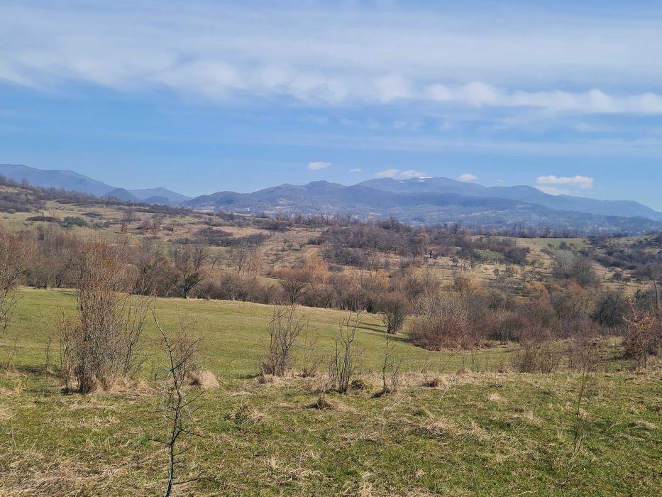 Teren ideal pt cabana , picnic sau casuta de vacanta la 8 km