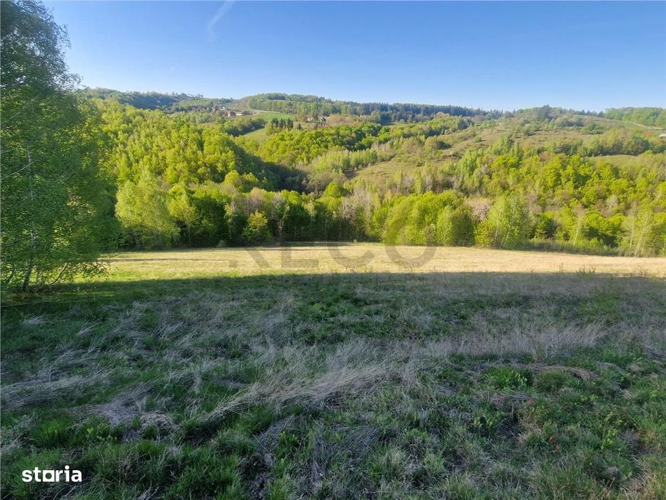 RECO, teren intravilan, Zona Sinteu, Bihor