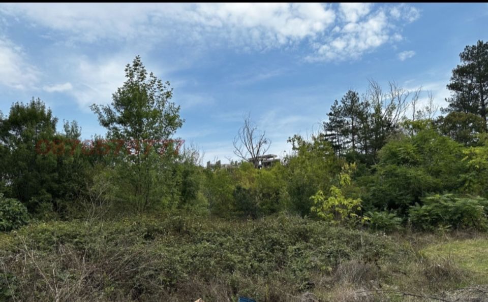 Продава се Парцел в Царево - 1901 кв.м за 51 €/кв.м - Снимка #2