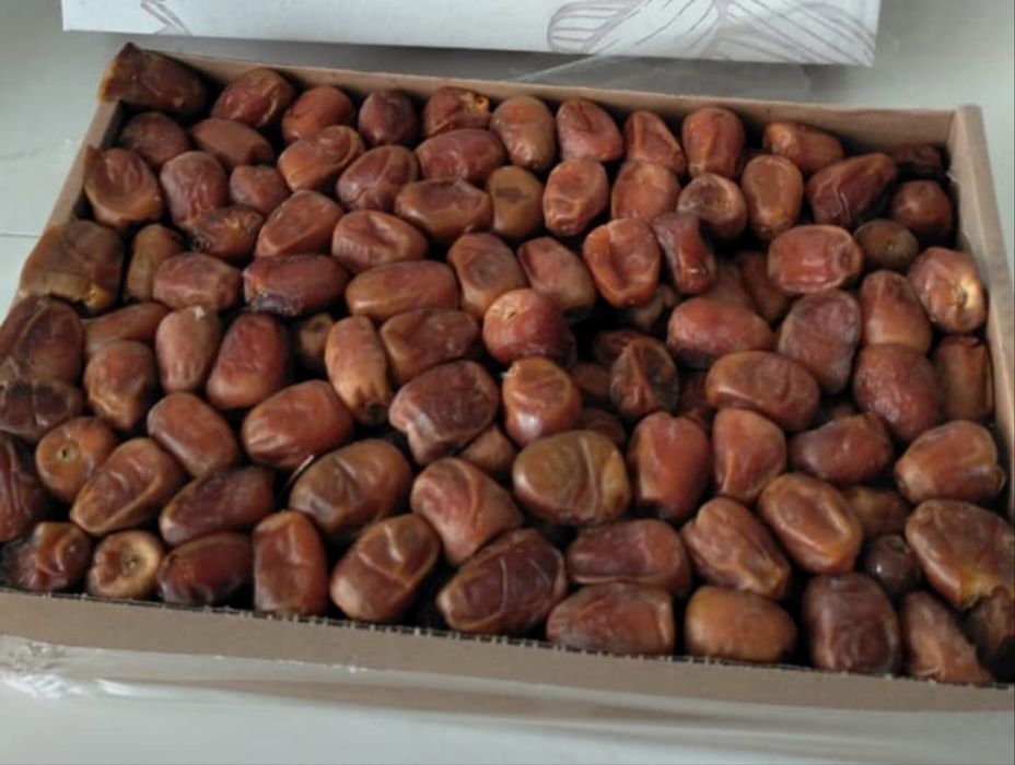 Продаются финики Суккари