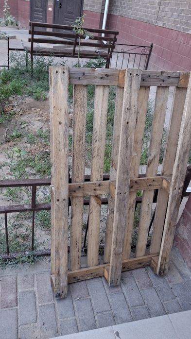 Падон ағаш  бар.