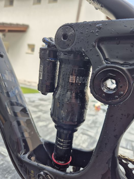 Vând Rose Pikes Peak