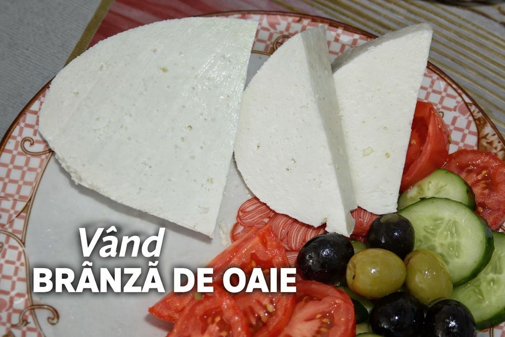 Branza de oi proaspătă, îndulcita sau sărată
