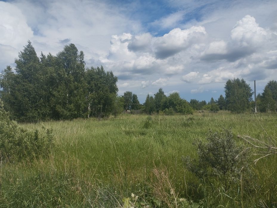Продам дачу общество Акорд