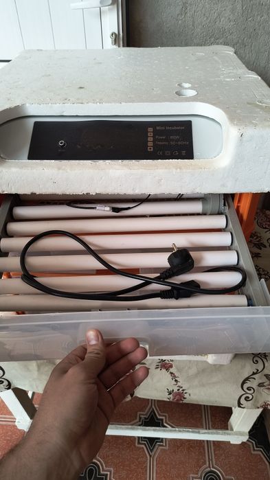 Инкубатор Птицевод