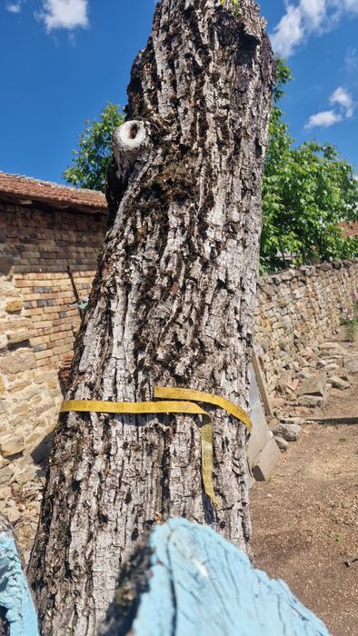 Орех за материал