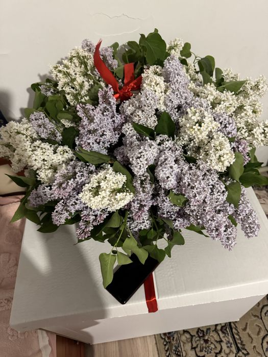 Апрельская сиреееннь