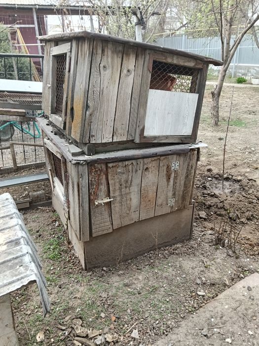 Отдам даром для кроликов.