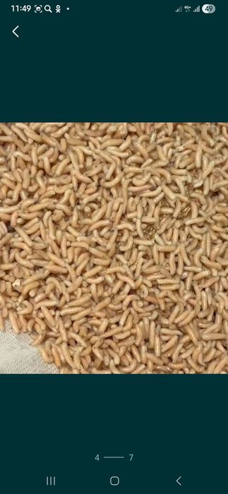 Барахолка рыбака