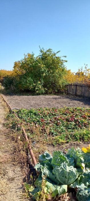 Продам дачу в Черемушках Темиртау