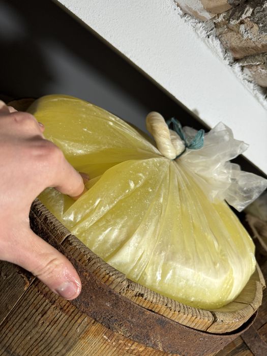 Telemea  veche de oaie