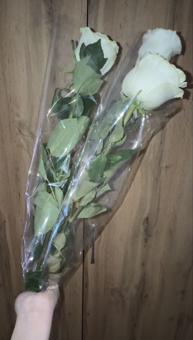 Ақ розалар, ұзын.