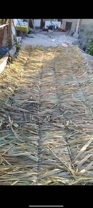 Tomga qamishlar sifatli to'qilgan qalin  va arzon