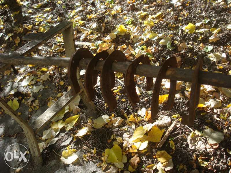 Късметлийски подкови