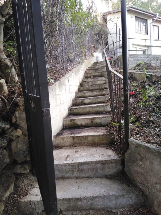 Изрязване на трева храсти клони разумните цени