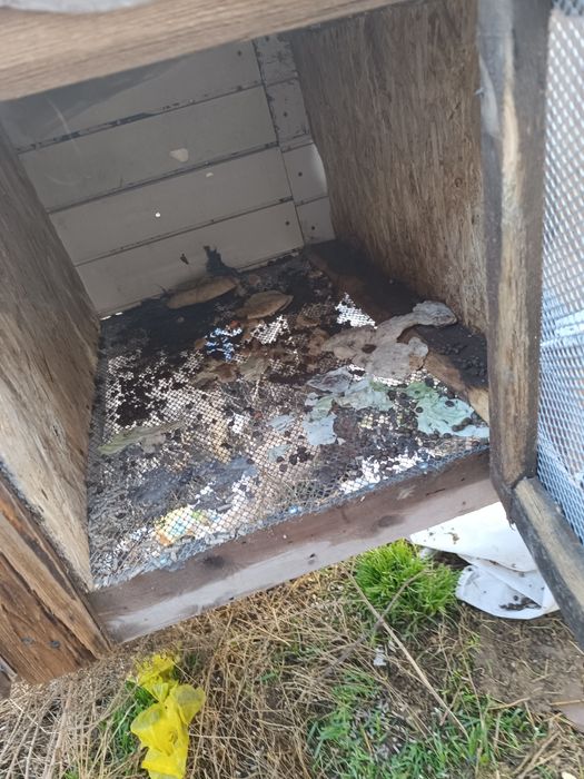 Продаётся клетка