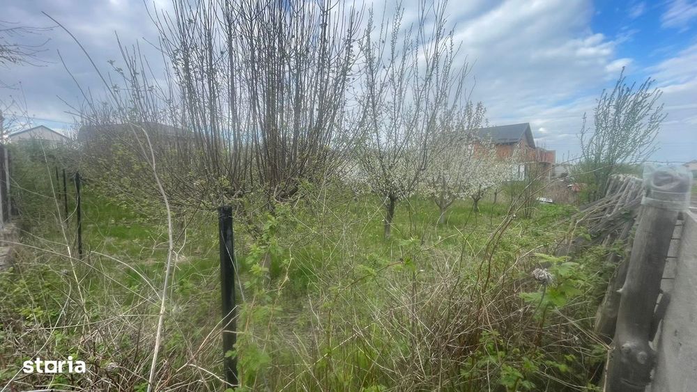 Teren 1000 mp,  Ciurbesti langa Sos de Centura, Comision 0%