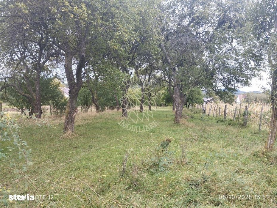 Teren intravilan 2500 mp-utilitati-ideal casa-Mijlocenii Bargaului