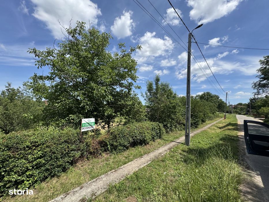 Teren intravilan 14.5 ari Viile Satu Mare