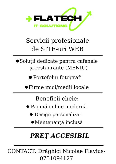 Servicii IT profesionale