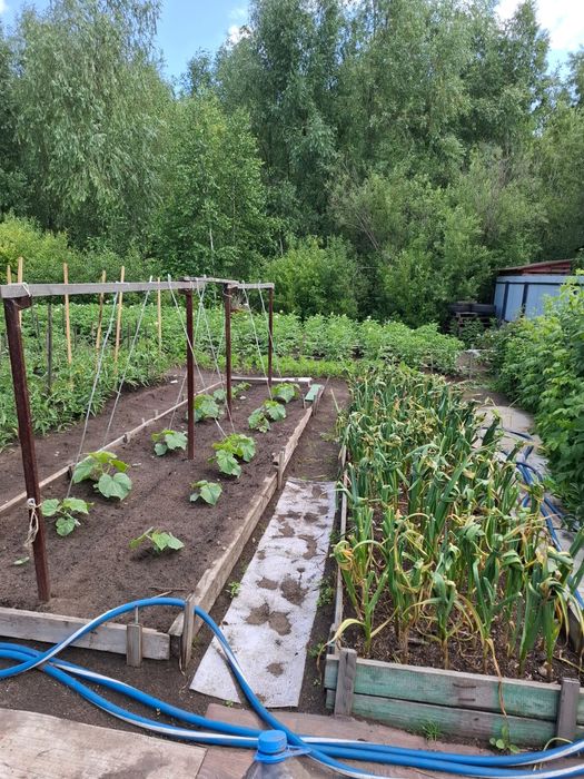 Продам дачу 4 сотки , ухоженная