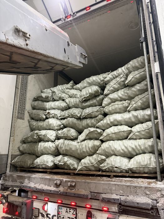 Картофель с Павлодара