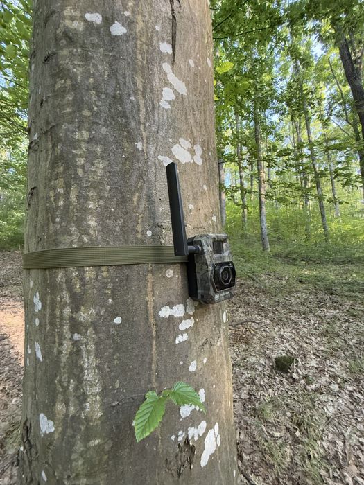 Camera vanatoare Forestvision live Alpha 4G cu GPS si transmitere libe