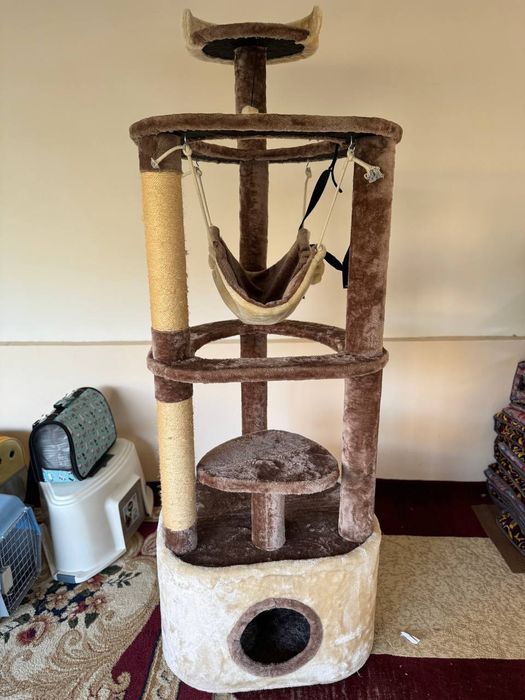 Мушук уйнидган ва дамоладиган уйча