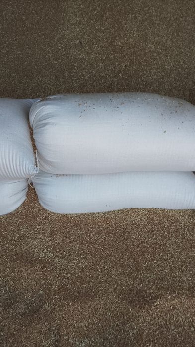 Пшеница для животных и птиц