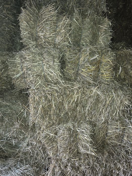 Baloti rotunzi mari de fan 120x120 dimensiune si baloti mici de paie