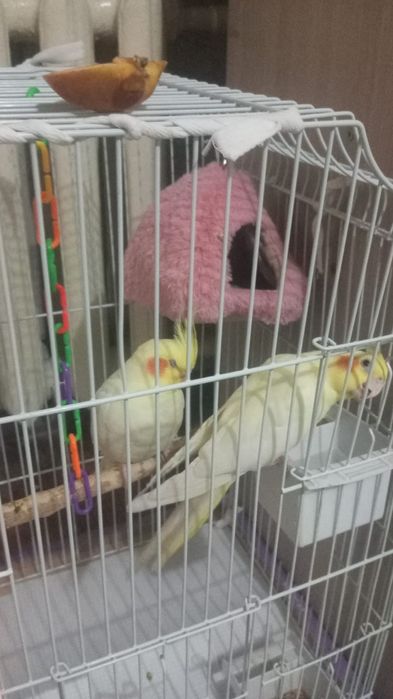 Карелла 2штук.клетка дом