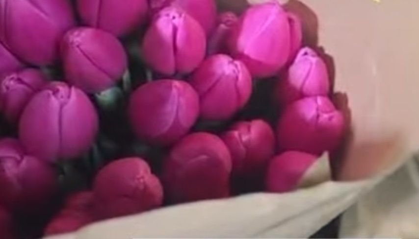 Тюльпаны Алматы Розовые