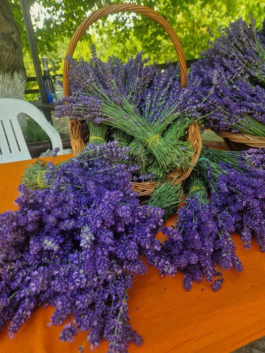 Vindem buchete lavanda