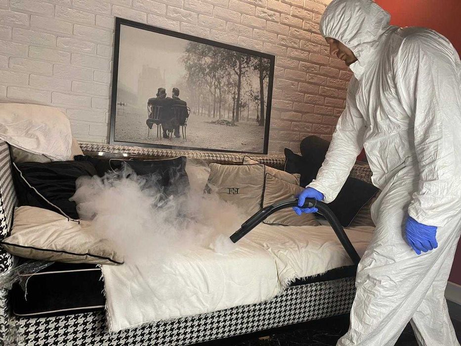 Dezinfeksiya xizmati klapa, tarakan, ilon. Dezinfeksiya Дезинфекция