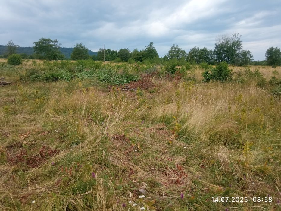 Vând teren extravilan
