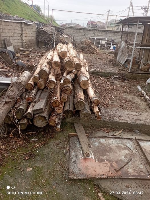 Terak kesilgan   tayor donasi 300mindan