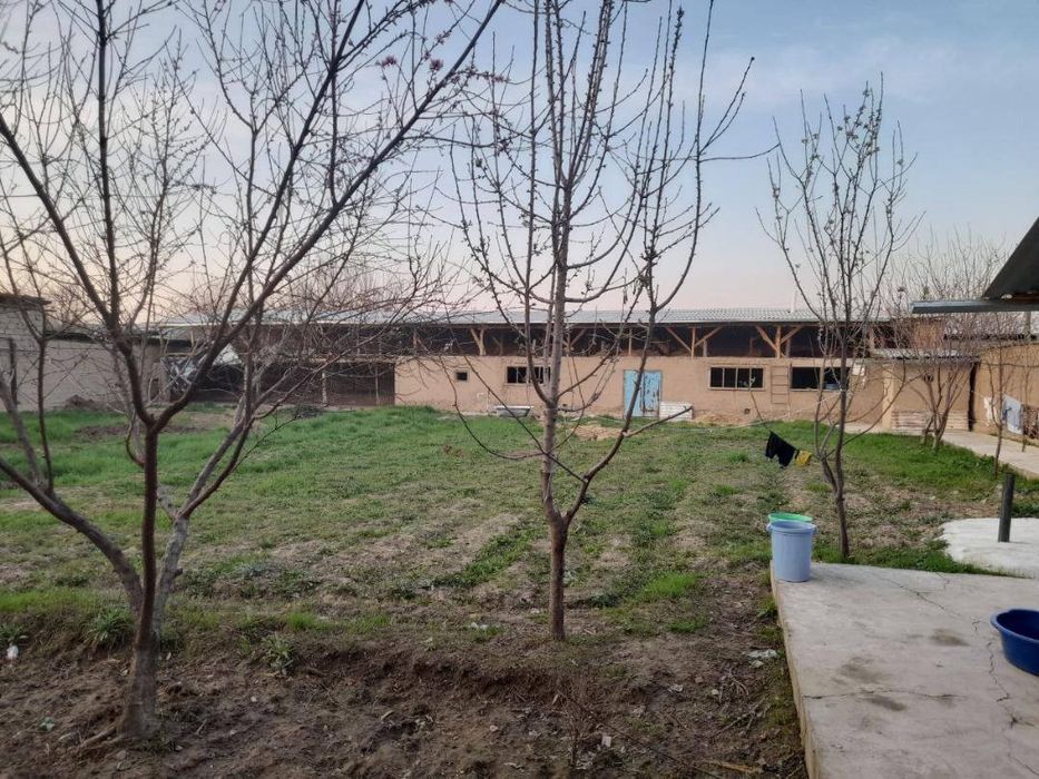 Ховли йер сотилади срочна