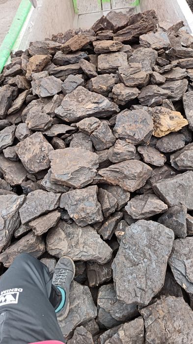 Carbune/ Carbuni lignit