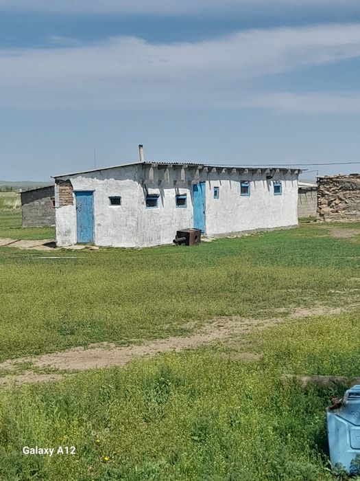 Продается Крестьянское Хозяйство