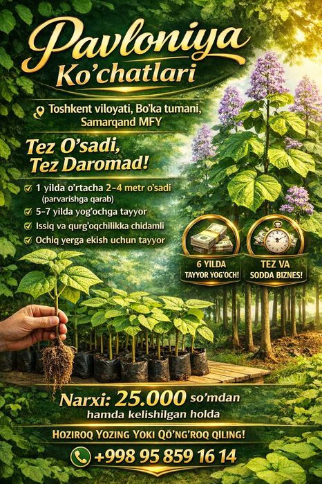 DAROMADLI DARAXT EKMOQCHIMISIZ?  Pavloniya ko‘chatlari sotuvda!