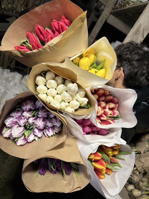 Тюльпаны на 8 марта