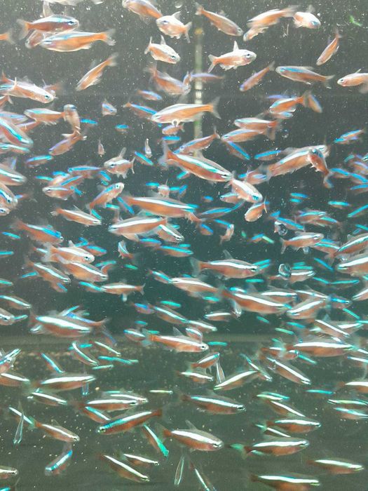 Всеки ден е черен петък!