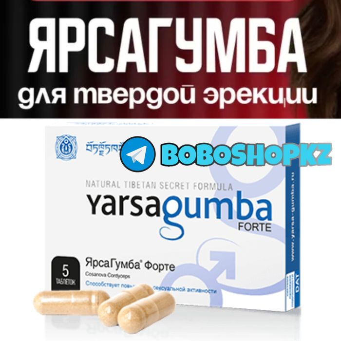 катализаторнаш паярсагума