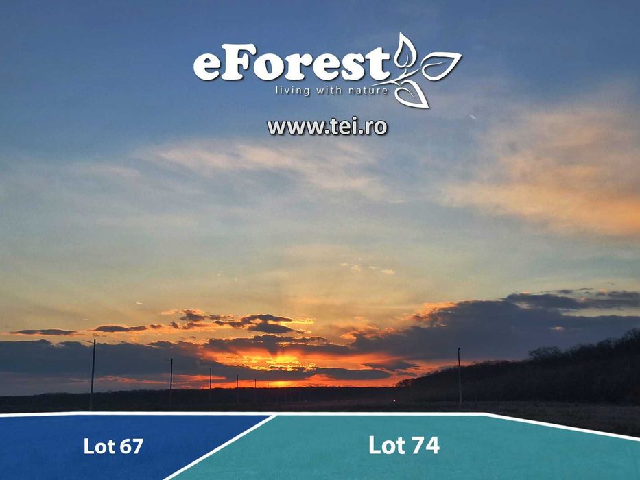 Loturi de teren în eForest, după Buftea, cu acces direct la DN1A