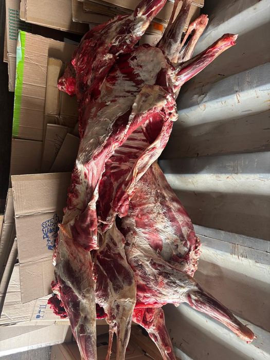 Продам мясо баранина