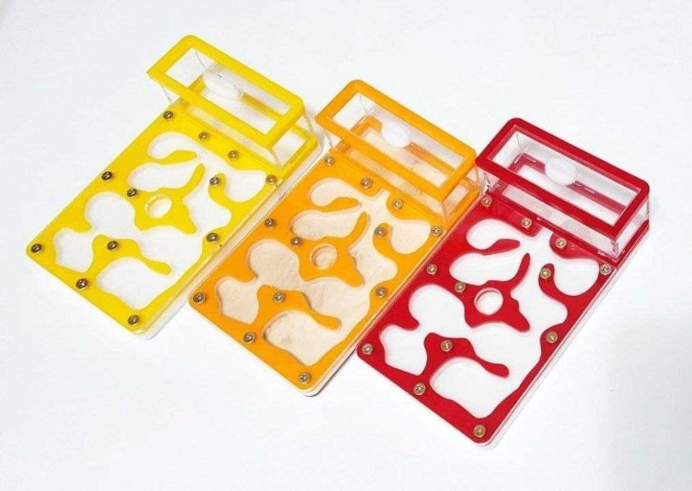 Муравьи. Муравьиные семьи